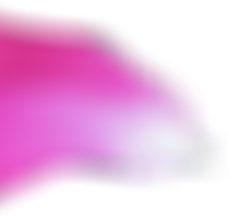 floating rose particle