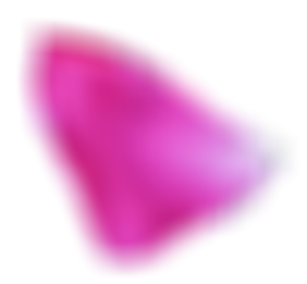 floating rose particle